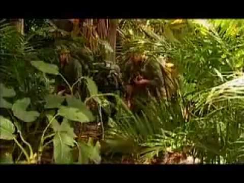 CIGS - Centro de Instrução de Guerra na Selva.flv