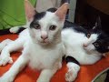 ショタでBL系!?