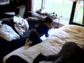 videos de Dancing Music with Pillows (Gliere)
