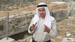 برنامج لفة بقلقيلية - البرك الرومانية في سينيريا