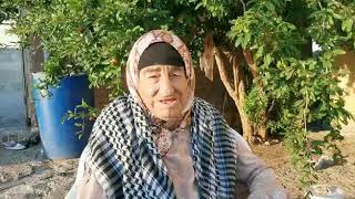 اقدم معمره في بلدة سنيريا محافظة قلقيليه