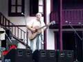 Green Fest - Peter Yarrow singing Lemon Tree