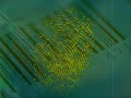 Stop Spyware and Adware Stop Spyware and Adware