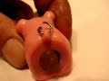 Pig and friends talks to Stan again Pig and friends talks to Stan again