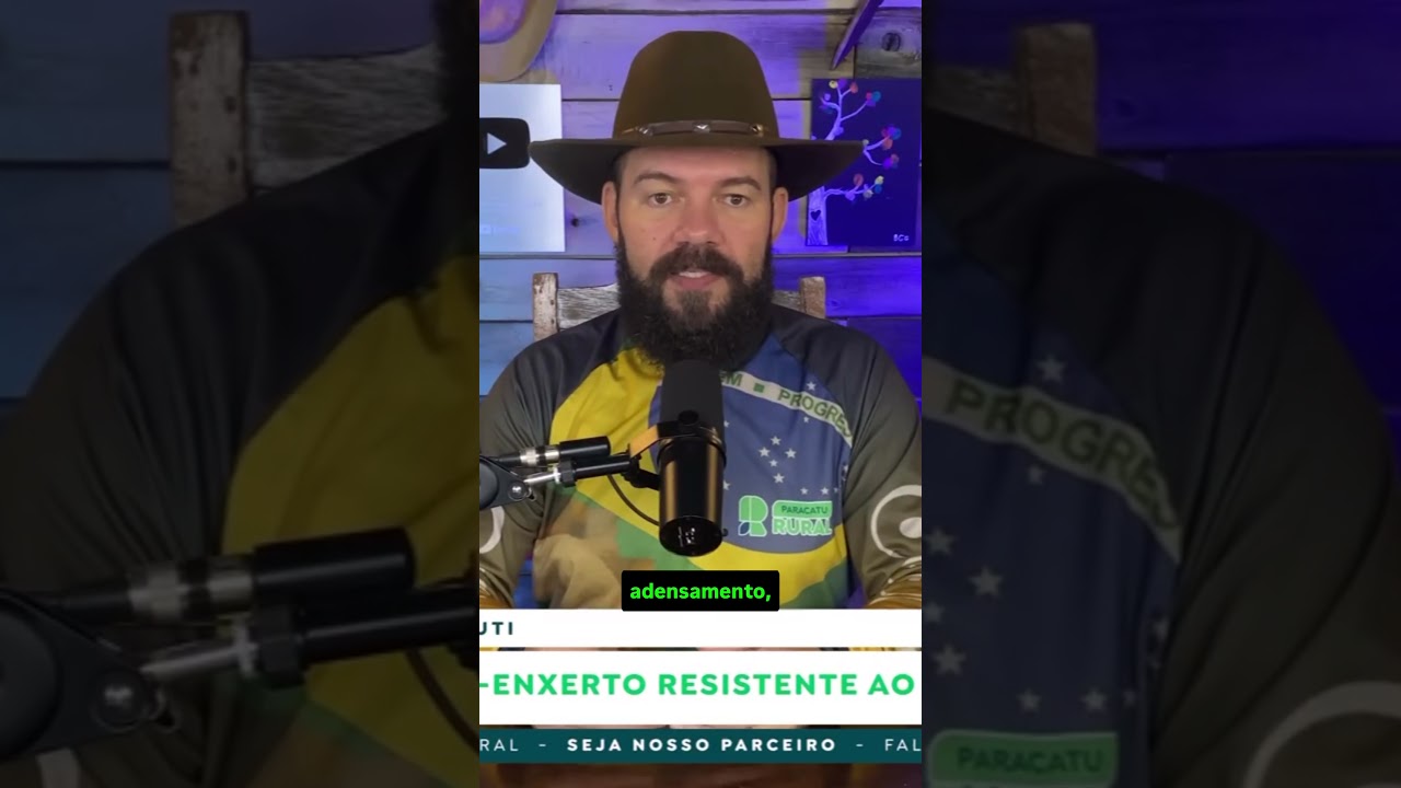 Existe porta-enxerto resistente ao greening?