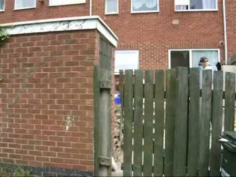 Tenants From Hell Top Valley