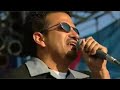 the alley cats live in concert!