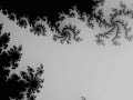 Mandelbrot set