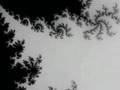 Mandelbrot set