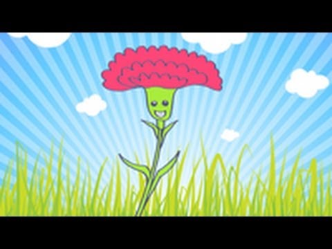 UN - Vídeo para enseñar a los niños a dibujar un clavel. Dibujos infantiles para que los niños aprendan a dibujar las flores. Una buena manera de pasar un agradab...