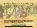 Videocuento Epis.#09 Resumen DON QUIJOTE DE LA MANCHA (1979)
