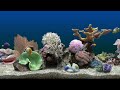 HD Virtual Aquarium #3 (1080p)