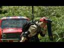 Im a celeb- martinas car-nage trial [high quality]
