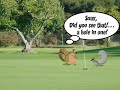 Dinky TV: The Colf Curse Part 2