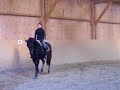 Dressur Training