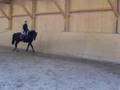 Dressur Training