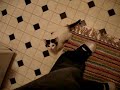 mew mew mew mew mew mew