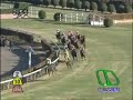 2008年第131回 中山大障害 / キングジョイ