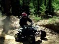 Forest Ride 6653 Forest Ride 6653