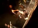 di nx - dan�a do alligator, joinville - sc