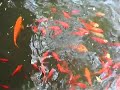 china run-west lake hangzhou杭州西湖