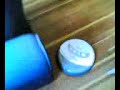 Dog-versus-Roomba