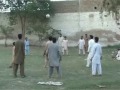 View Video