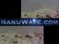 NanuWave-Beach