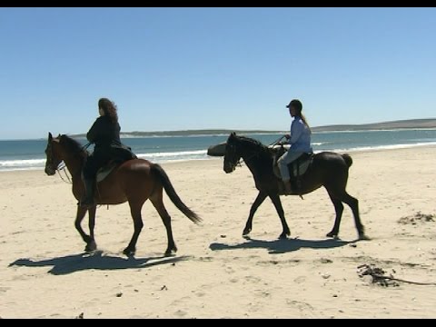 Top Billing explores Paternoster
