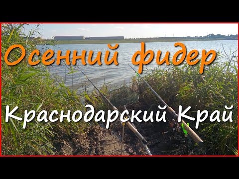 где ловить на фидер в нижегородской области где ловить на фидер в нижегородской области