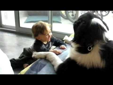 Perro hace reir a un bebé histéricamente