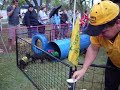 Pig race at RedCliff 2