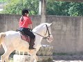 Isabella Ribeiro X Flexa Ligeira na Hipica Colorado