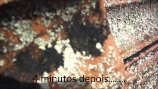 The Fall - Cuidado ao fazer um time-lapse......heheh.......