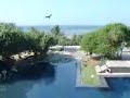 tsunami tsunami