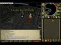 videos de Runescape Bug.