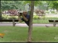 اشکنان دوربين مخفي عكس گرفتن از زن لخت Hidden camera
