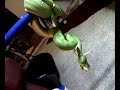 ETB Feeding Pt. 3 ETB Feeding Pt. 3