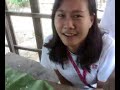 trip