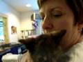 Marquette County Humane Society-Mary