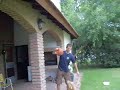 American Pit Bull Terrier APBT (Hant) saltando American Pit Bull Terrier APBT (Hant) saltando