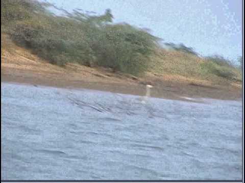 Tourism Spot at Singarayakonda