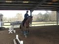 Clinic on Danny Day 1 - Canter Work (E)