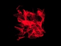 NightLife (Background Visuals)