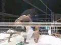 PRIDE FC VS UFC : The War Is Over