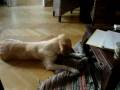 MOV00983.MPG