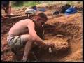 Vezi video