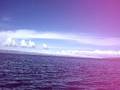 videos de Vanuit Bolivia...