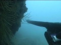 Prova in mare, tratto dal nuovo DVD di Roberto Tiveron
