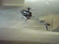 raptor flying inside a house